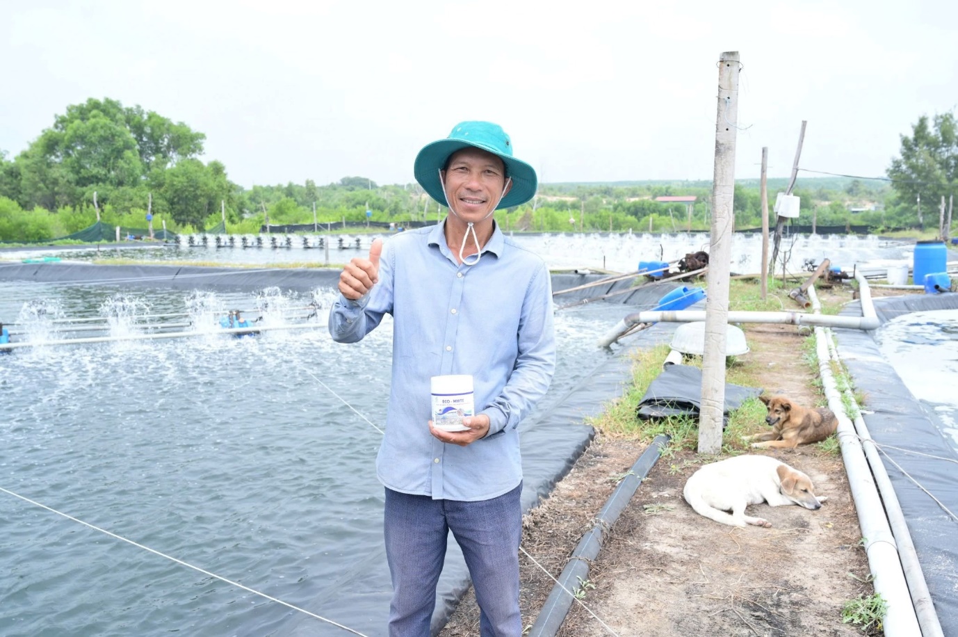 ECO WHITE – Bước tiến mới giúp xử lý hiệu quả phân trắng, đỏ ruột, trống ruột ở tôm - 3