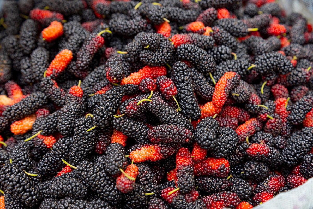 Loại quả vào mùa chín rộ bán đầy chợ hóa ra là “báu vật” giúp xương khớp dẻo dai ít người biết - 1