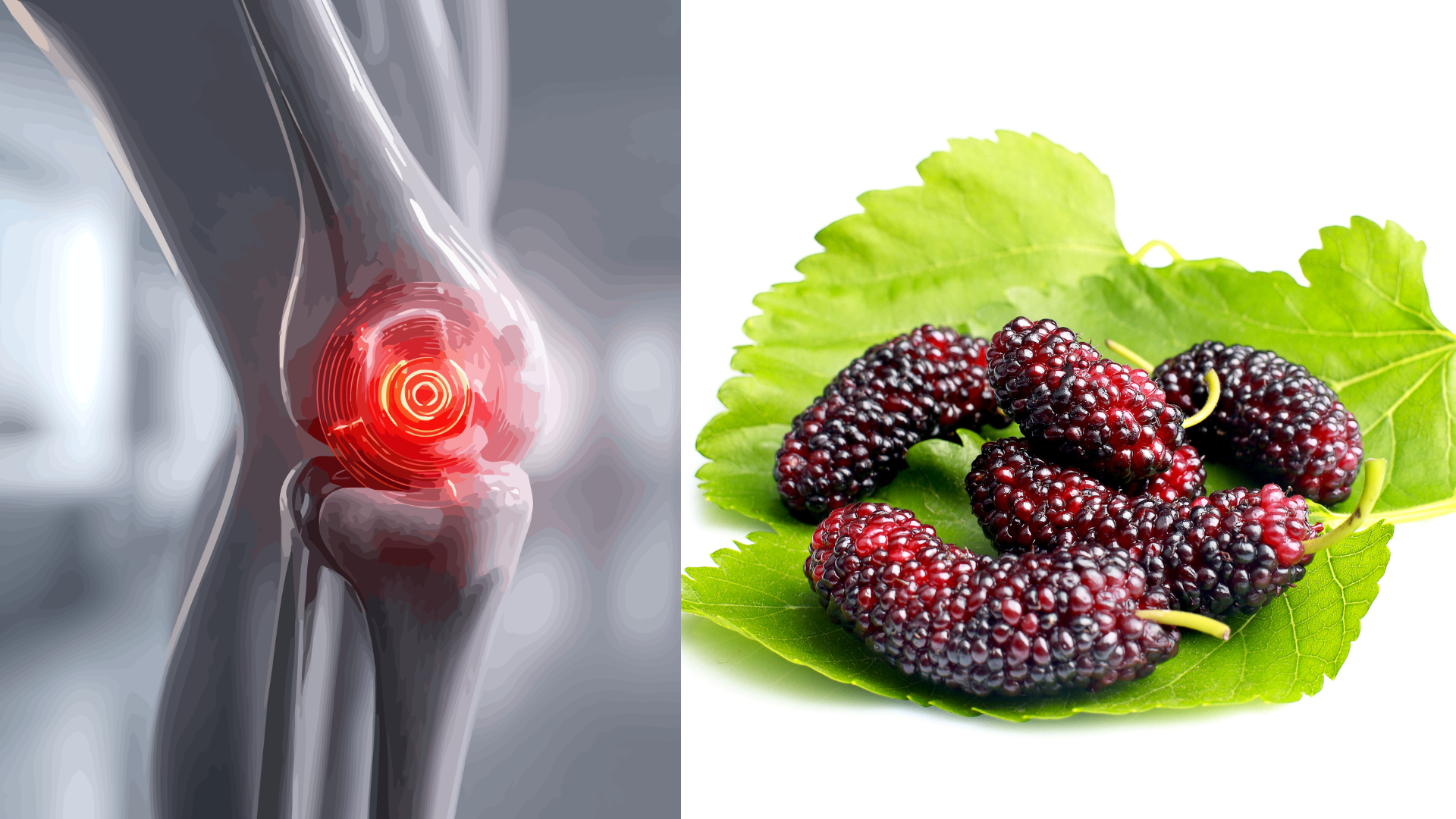 Loại quả vào mùa chín rộ bán đầy chợ hóa ra là “báu vật” giúp xương khớp dẻo dai ít người biết - 2