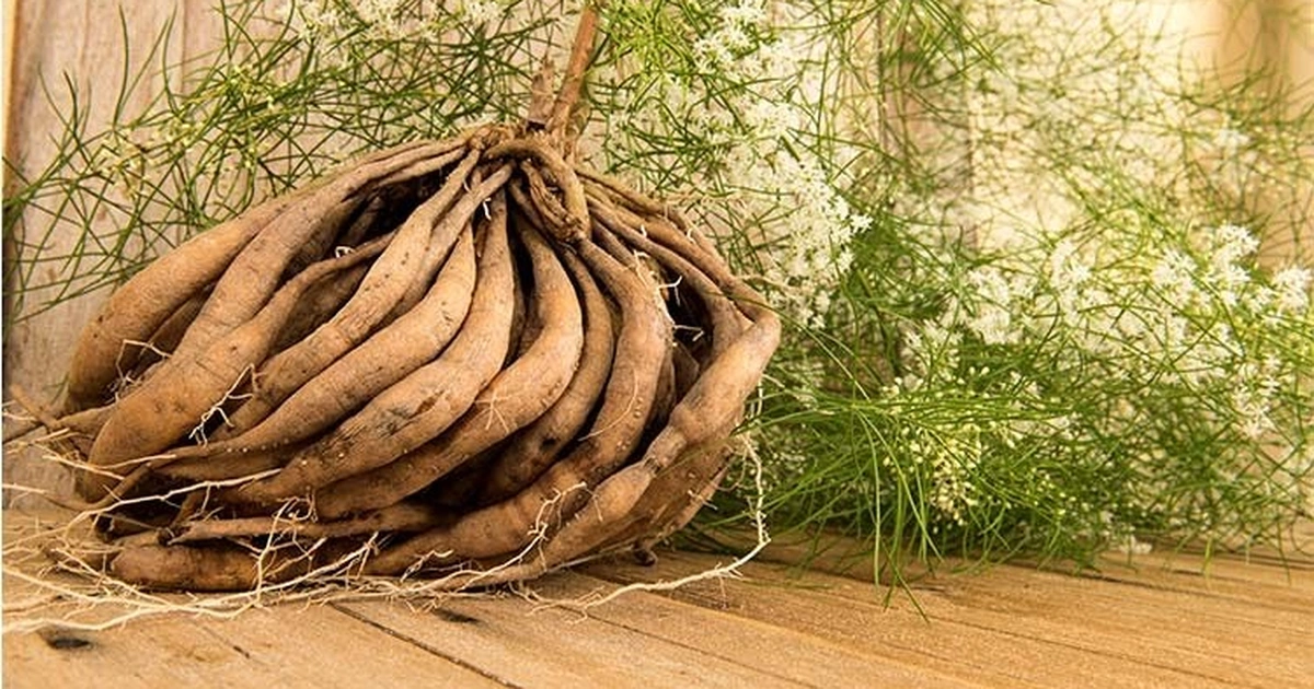 Loại rau bán rẻ bèo ngoài chợ, giàu canxi không kém sữa mà nhiều mẹ sau sinh lại bỏ qua - 4