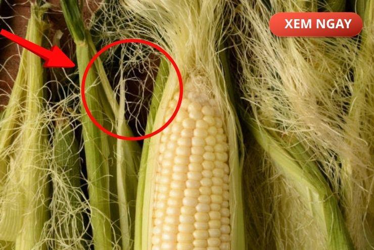 Bộ phận thường bị vứt bỏ, nhưng nếu dùng đúng cách lại trở thành “nước đại bổ” giúp giảm tiểu đêm, tiểu nhiều lần - 1