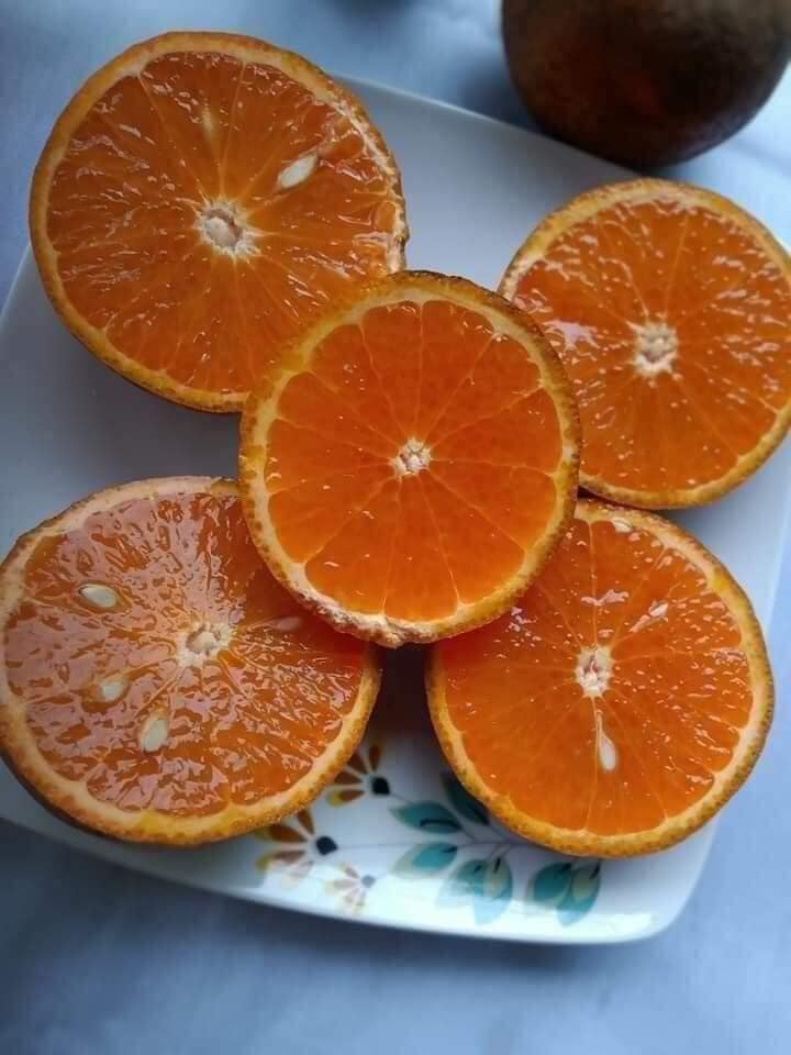 Dịch Covid-19 diễn biến mới, các mặt hàng này lại tiếp tục “ăn khách” - 3