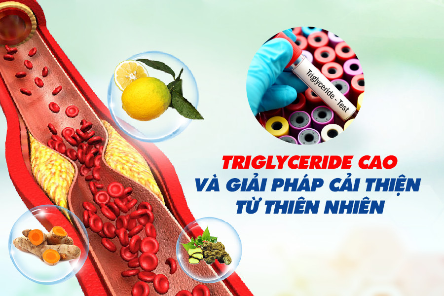 Giải pháp hỗ trợ giảm mỡ máu Triglyceride từ thiên nhiên - 1