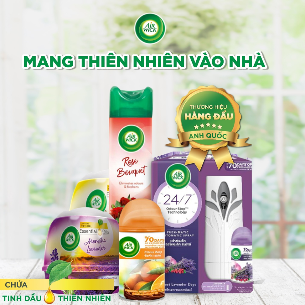 Điều tuyệt vời từ những nhánh hoa oải hương - 2