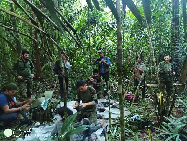 Tìm thấy 4 trẻ em sau 40 ngày máy bay rơi trong rừng rậm Amazon - 3