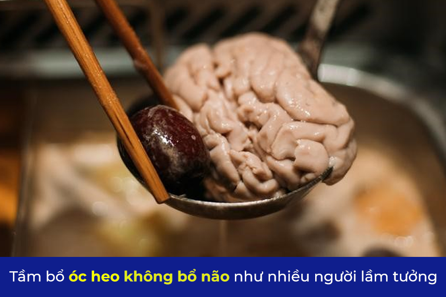 Ăn gì bổ nấy? Thiếu máu não có nên ăn óc heo không? - 1