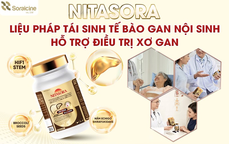 TPBVSK Nitasora: Liệu pháp hỗ trợ bảo vệ gan an toàn, hiệu quả - 1