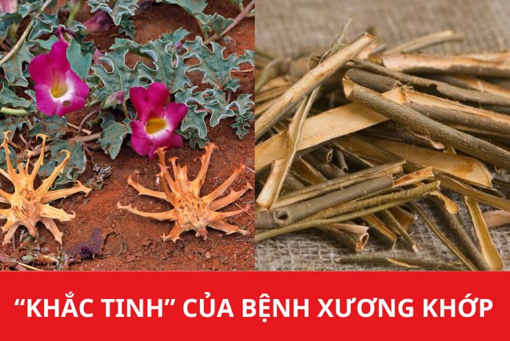 Bất ngờ với mẹo giảm đau xương khớp cực dễ mà bạn bỏ quên bấy lâu nay - 3