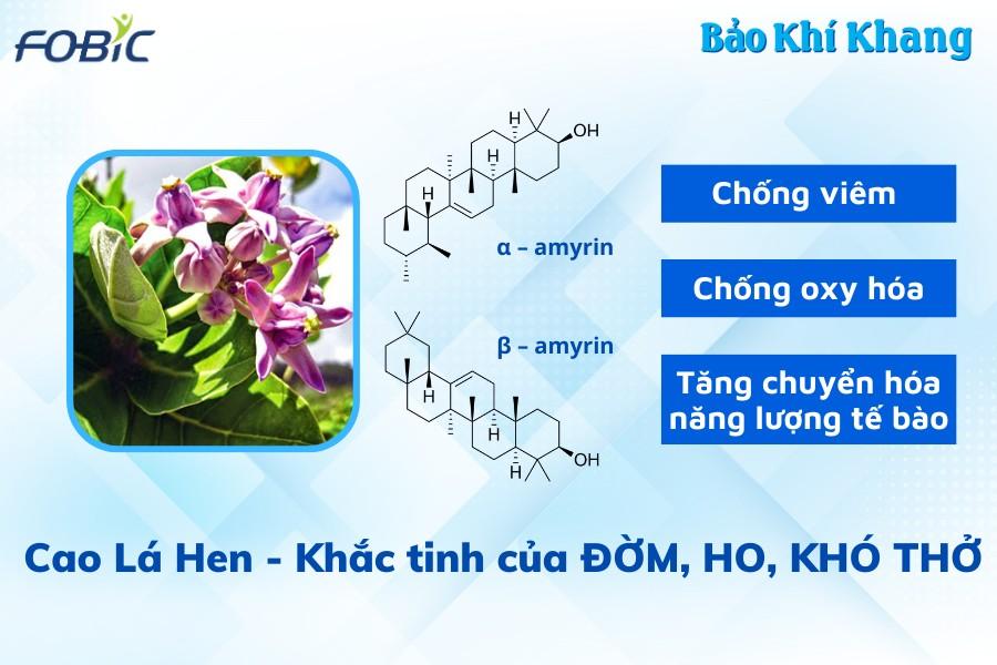 3 thảo dược cực quen giúp “đánh bay” đàm, ho, khó thở đeo bám lâu năm - 3