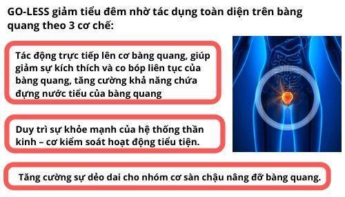 4 loại thực phẩm quen thuộc được ví như “nhân sâm” giúp giảm tiểu đêm, tiểu nhiều lần - 6