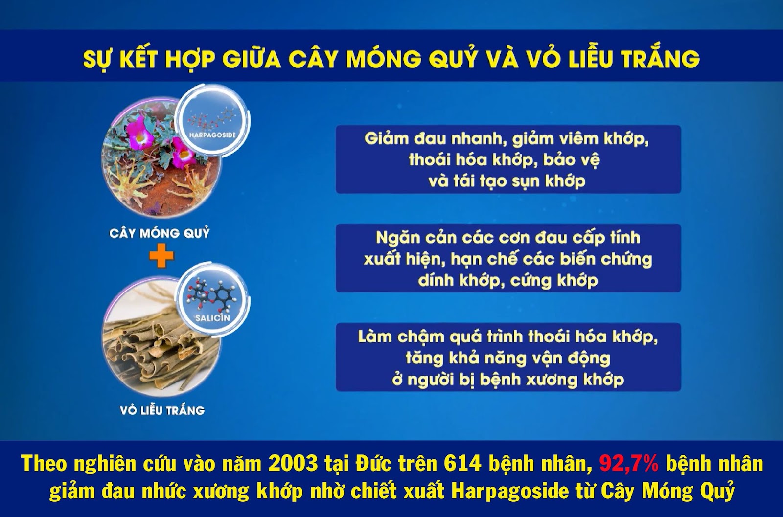 Tìm hiểu về cây móng quỷ - “khắc tinh” của đau nhức xương khớp  - 3