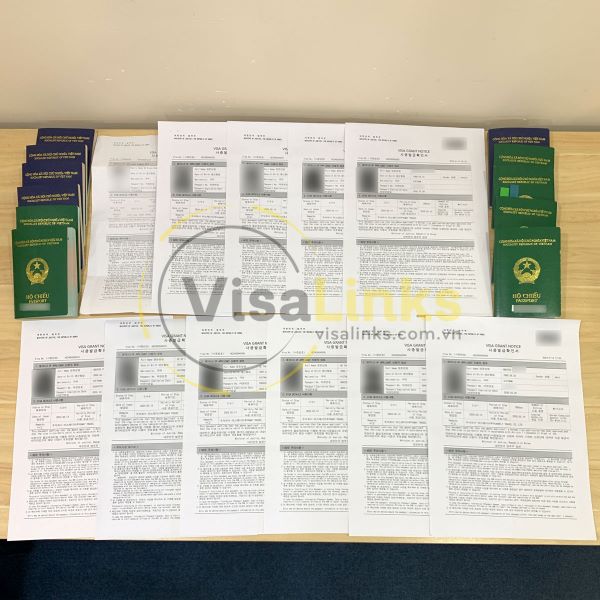 Tối ưu quy trình xin visa Hàn Quốc cùng Visalinks - 4