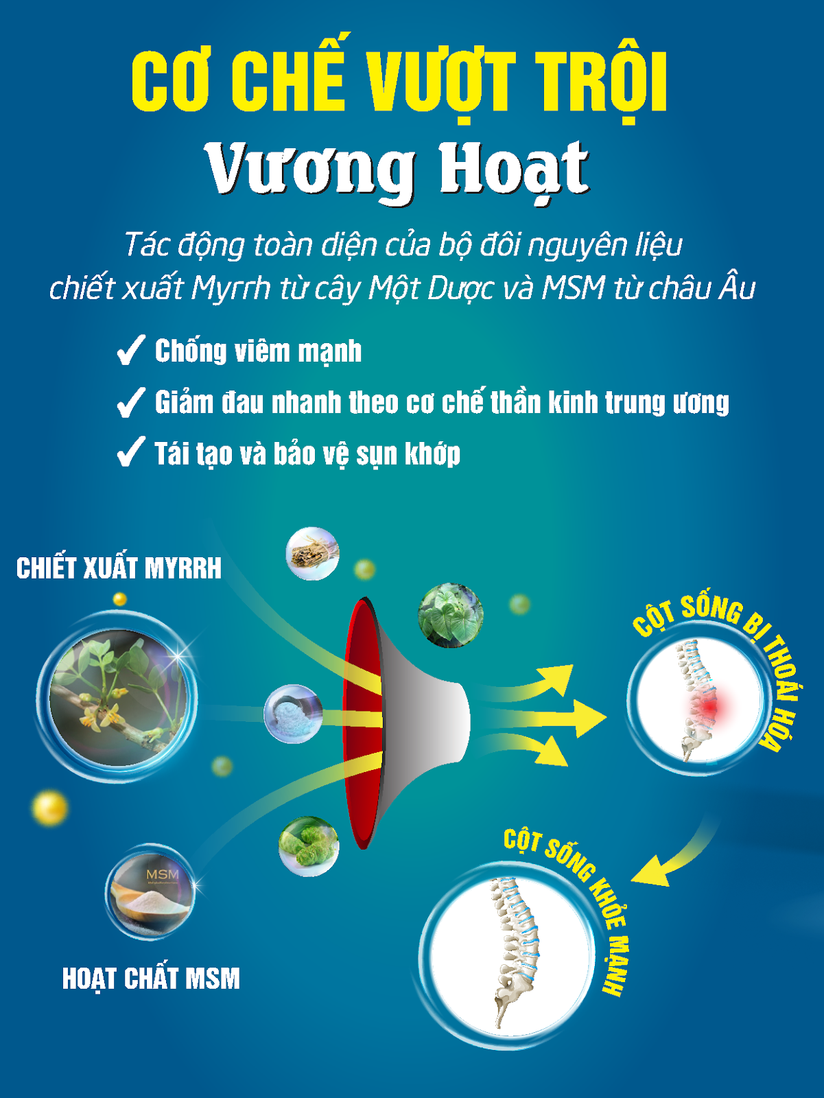Vương Hoạt tự hào vinh danh “Thương hiệu sản phẩm xương khớp hiệu quả, được tin dùng số 1 Việt Nam” - 3