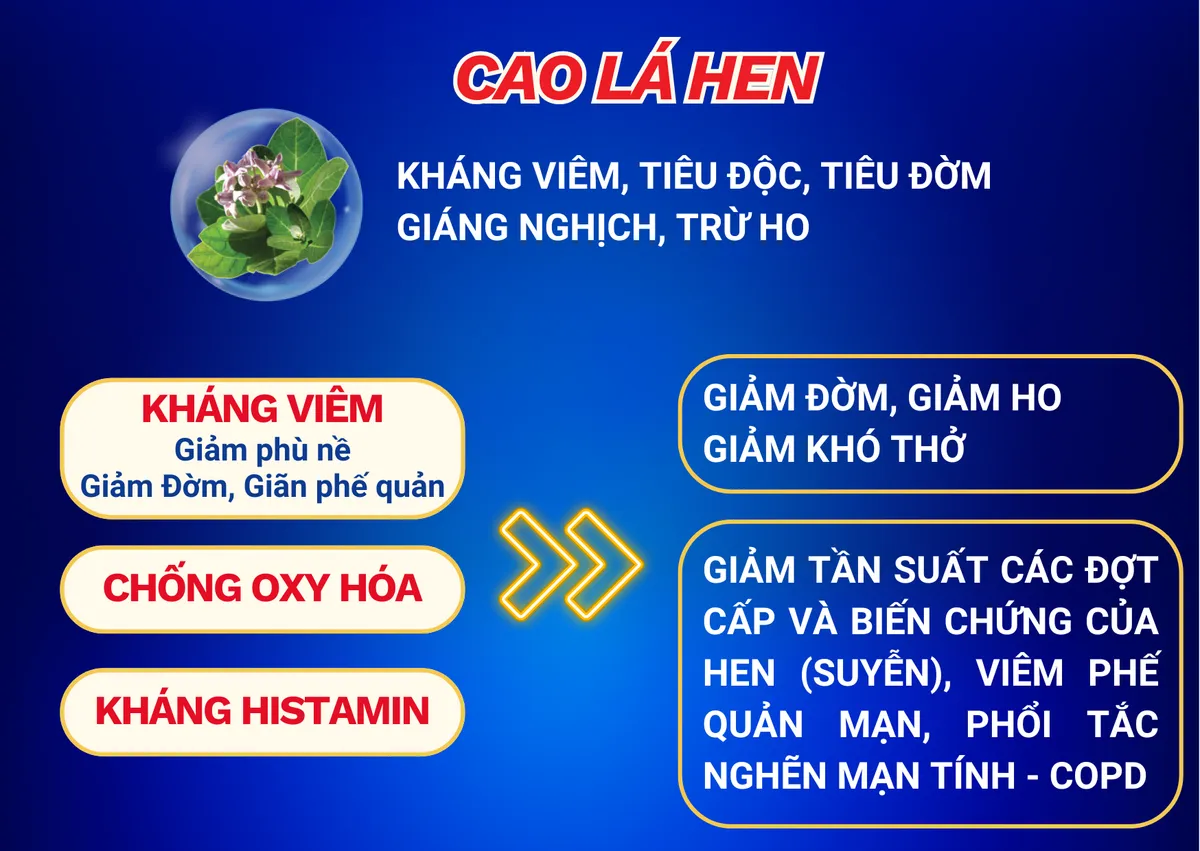 Cô giáo kiên cường và hành trình kỳ diệu chấm dứt chuỗi ngày khổ sở vì viêm phế quản mạn tính - 3