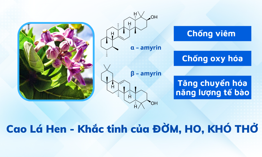 8 “sát thủ thầm lặng” ngay trên mâm cơm, cứ ăn là ho sặc sụa, đàm nghẹn cổ, thở rít từng cơn  - 3
