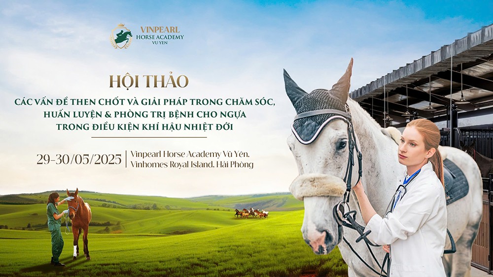 Học viện Cưỡi Ngựa Vinpearl Vũ Yên tổ chức Hội thảo chuyên sâu hàng đầu về ngựa - 1