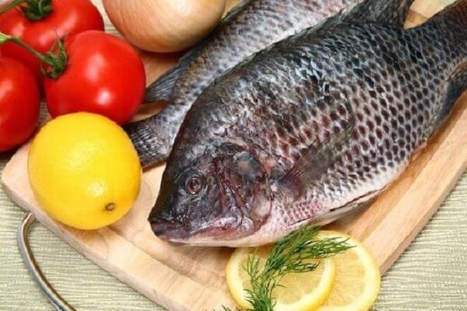 Việt Nam có 1 loại cá mệnh danh là "gà nước", thịt thơm ngon lại là “thuốc đại bổ” xương khớp - 1