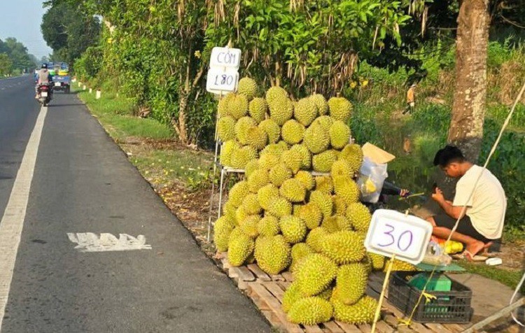 Sầu riêng bán đầy đường với giá chỉ từ 30 nghìn đồng/kg: Sự thật bất ngờ - 2