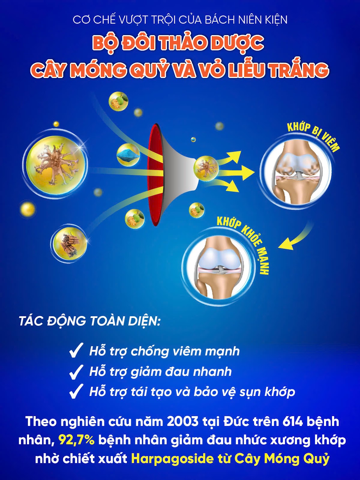 Đừng coi thường cơn đau khớp lúc trái gió trở trời – Có thể là dấu hiệu tàn phế sớm! - 4