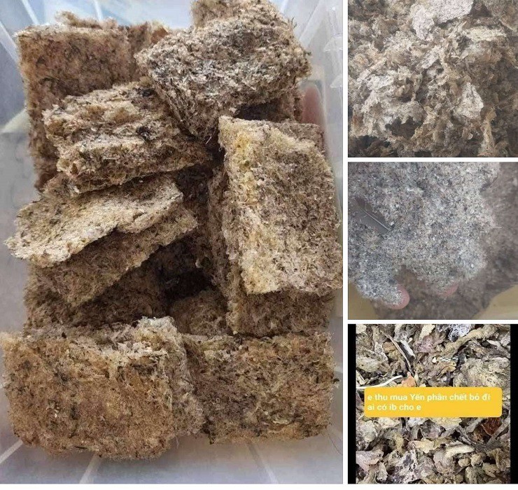 Tiết lộ bất ngờ về yến sào 13.000 đồng/hũ đang bị đặt nghi vấn chất lượng - 2