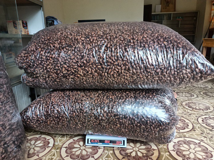 Bất ngờ xác loại côn trùng được mua với giá 2,5 triệu đồng/kg, dân buôn gom từng lạng - 5
