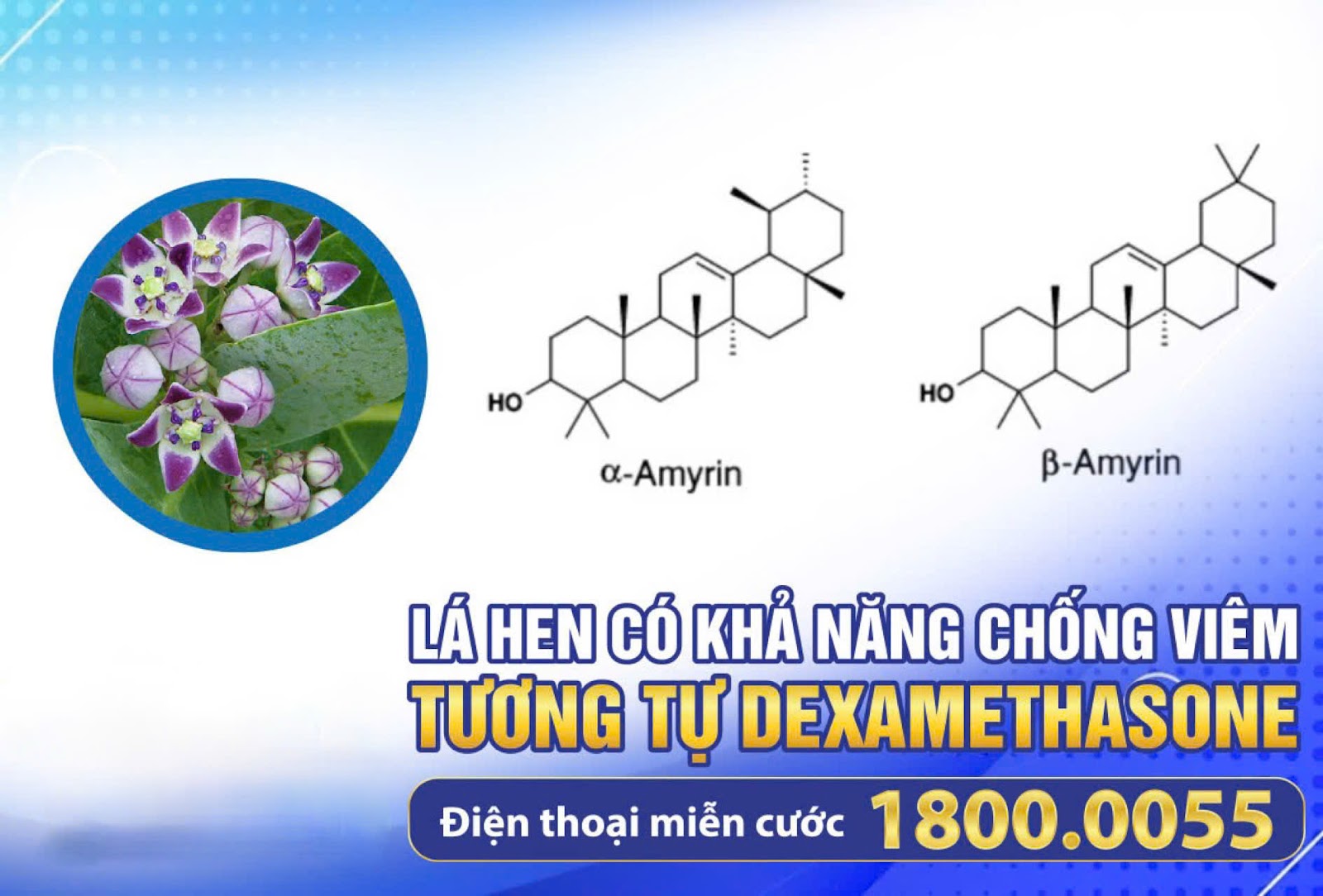 3 “tín hiệu khẩn” cho thấy phổi đang “nguy kịch”, đi khám ngay kẻo ân hận cả đời! - 4