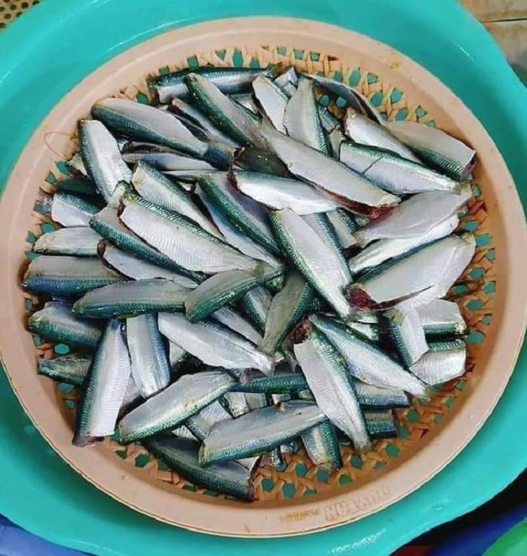 Loại cá giàu Omega-3 ngang ngửa cá hồi, bán đầy chợ với giá chỉ từ 45 nghìn đồng/kg - 2