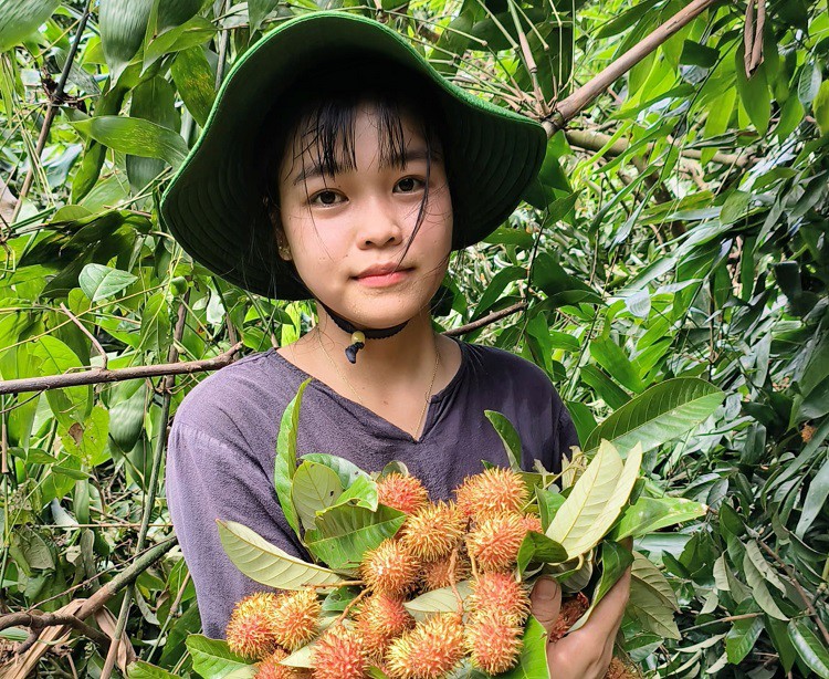 Độc đáo loại quả có ruột như lòng đỏ trứng gà, chị em thi nhau lùng mua về ăn thử - 5