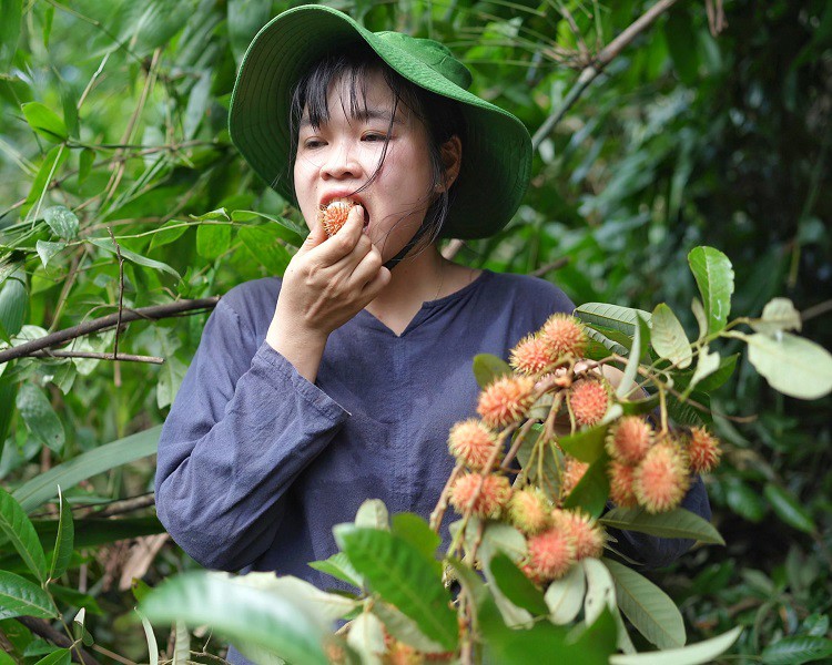 Độc đáo loại quả có ruột như lòng đỏ trứng gà, chị em thi nhau lùng mua về ăn thử - 6