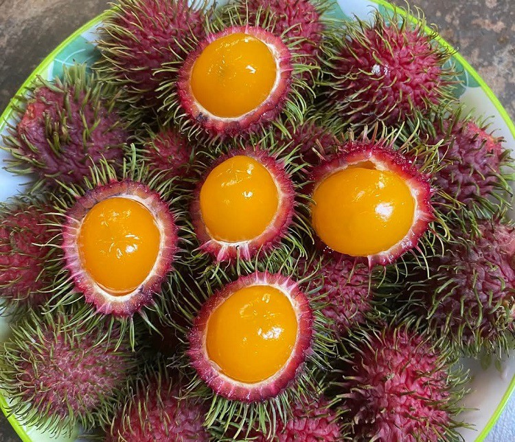 Độc đáo loại quả có ruột như lòng đỏ trứng gà, chị em thi nhau lùng mua về ăn thử - 2