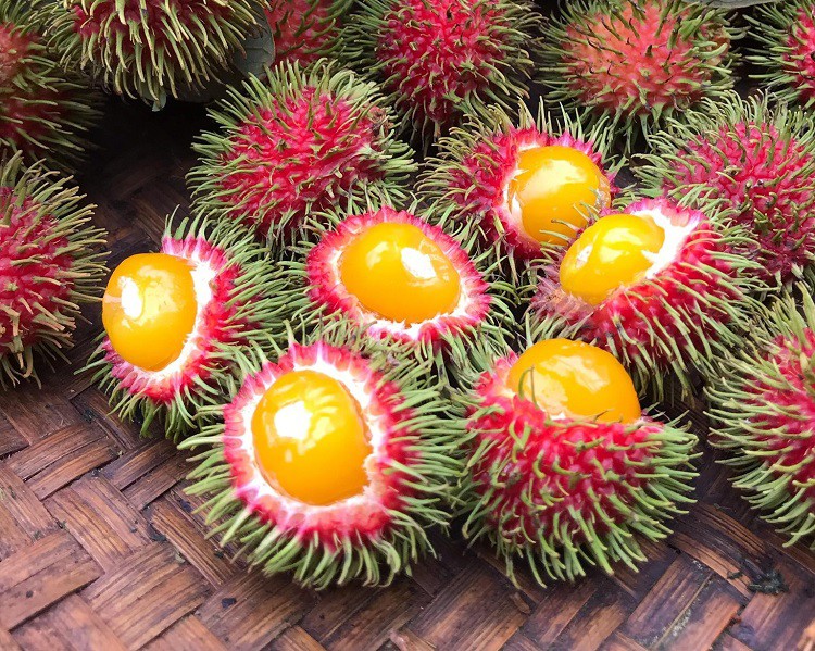Độc đáo loại quả có ruột như lòng đỏ trứng gà, chị em thi nhau lùng mua về ăn thử - 1