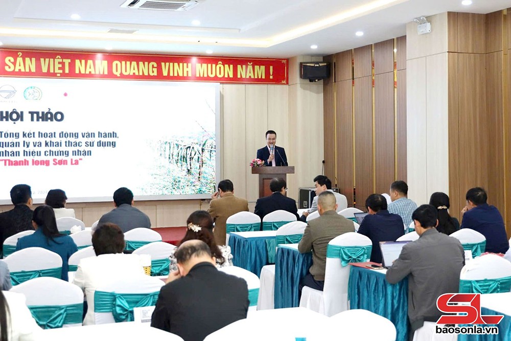 Hành trình xây dựng thương hiệu "Thanh long Sơn La" - 4