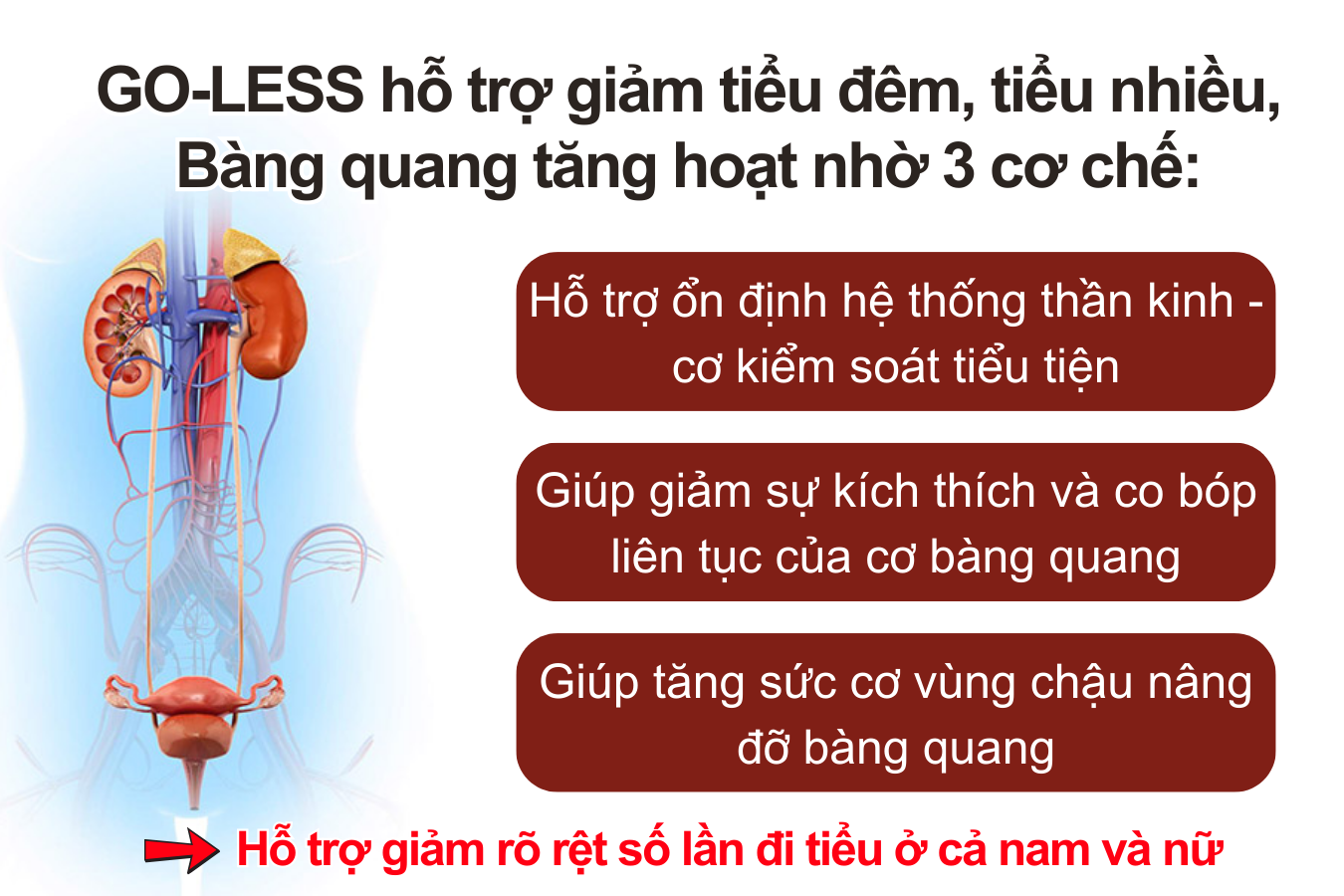 Thử ngay 4 cách này nếu bạn mắc chứng tiểu đêm, đi tiểu nhiều lần! - 6