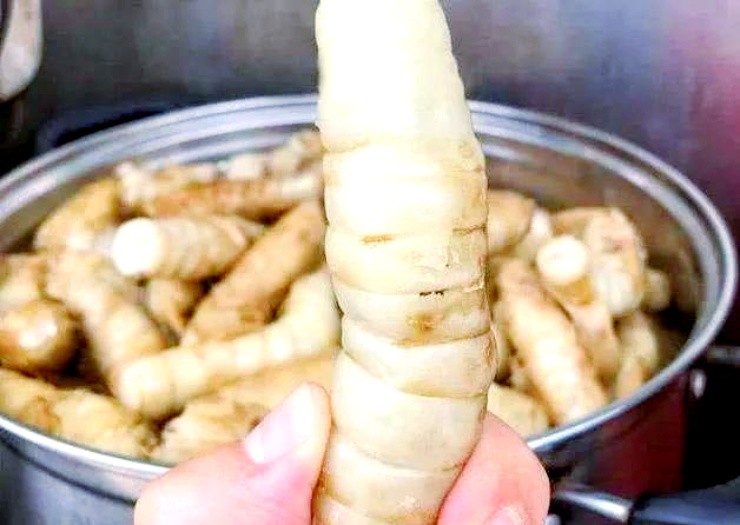 Quà quê quen thuộc rẻ như cho, lên phố thành đặc sản “hái ra tiền” - 2