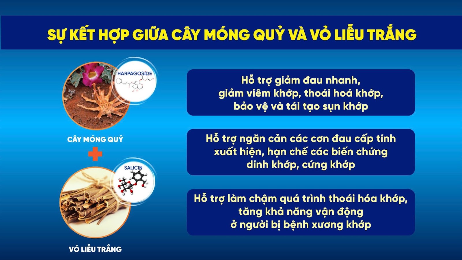 3 bài tập giảm đau cột sống lưng được khoa học chứng minh hỗ trợ tốt cho người bệnh  - 4