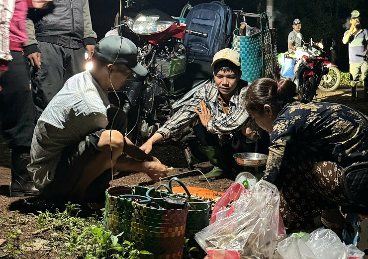 “Lộc trời” tại Việt Nam xuất hiện vào ban đêm, dân soi đèn đi hái kiếm tiền triệu - 6