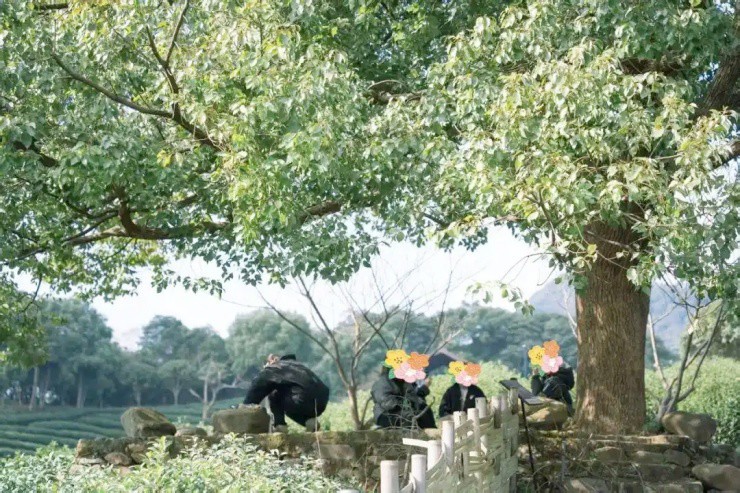 Cô gái chi 3 triệu đồng chỉ để “ôm cây, chữa lành” - 2