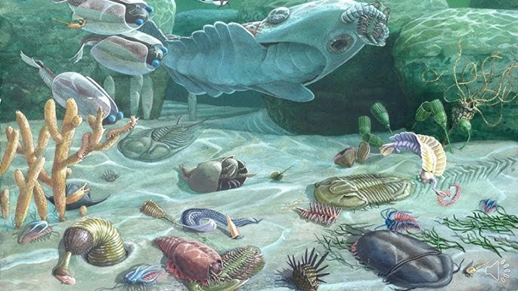 Các nhà khoa học suýt "tái tạo" thành công sinh vật đầu tiên trên Trái Đất - 1