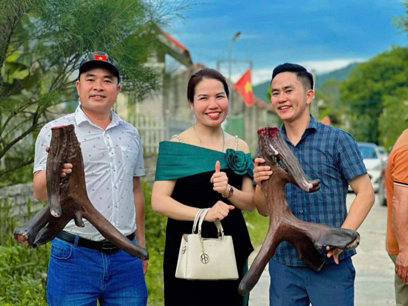 Ngắm con nai “độc nhất vô nhị” ở Nghệ An, được trả 1 tỷ đồng nhưng chủ nhân không bán - 7