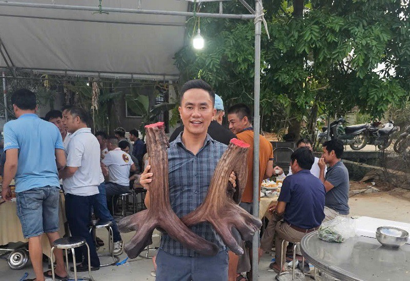 Ngắm con nai “độc nhất vô nhị” ở Nghệ An, được trả 1 tỷ đồng nhưng chủ nhân không bán - 5