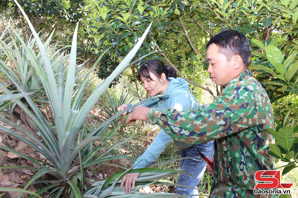 Chủ động phương án tiêu thụ, xuất khẩu nông sản - 3