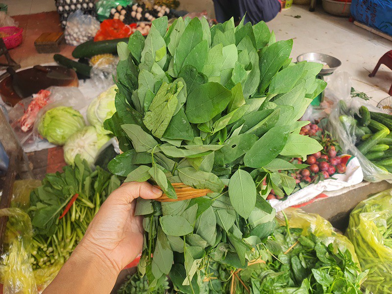Loại rau giàu sắt gấp 7 lần thịt bò, giá chỉ từ 7.000 đồng/bó bán đầy chợ - 1