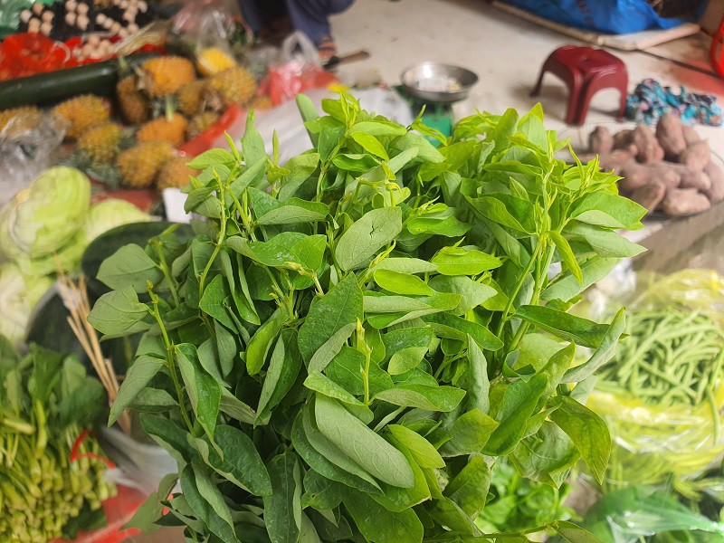 Loại rau giàu sắt gấp 7 lần thịt bò, giá chỉ từ 7.000 đồng/bó bán đầy chợ - 4