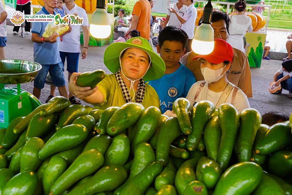 Suối Tiên: Từ lễ hội trái cây Nam Bộ đến biểu tượng du lịch văn hóa - 1