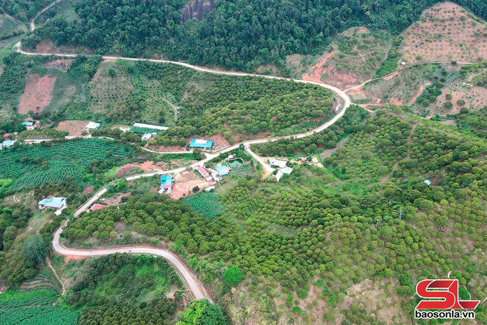 Vân Hồ tập trung chăm sóc cây ăn quả - 1