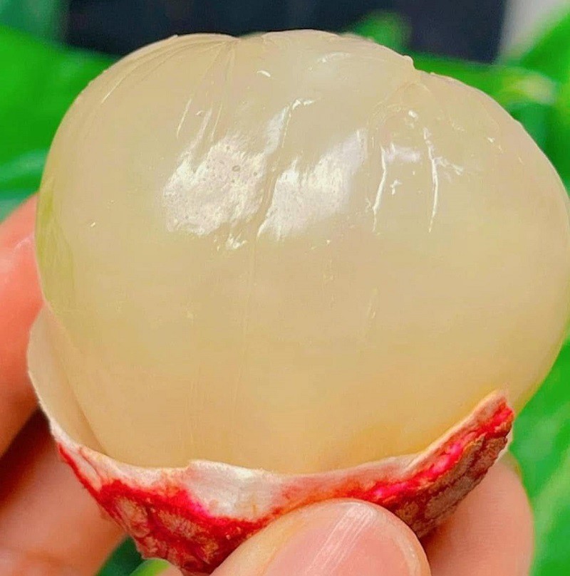 Việt Nam có loại vải “siêu to khổng lồ”, giá lên tới 250 nghìn đồng/kg, hái không kịp bán - 6