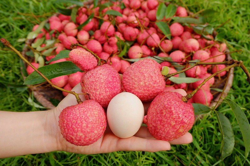 Vải thiều Trung Quốc đổ bộ chợ Việt, chị em thi nhau mua với giá lên tới 700 nghìn đồng/kg - 1