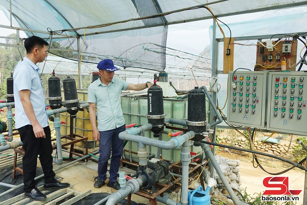 Sơn La ứng dụng công nghệ vào sản xuất - 1