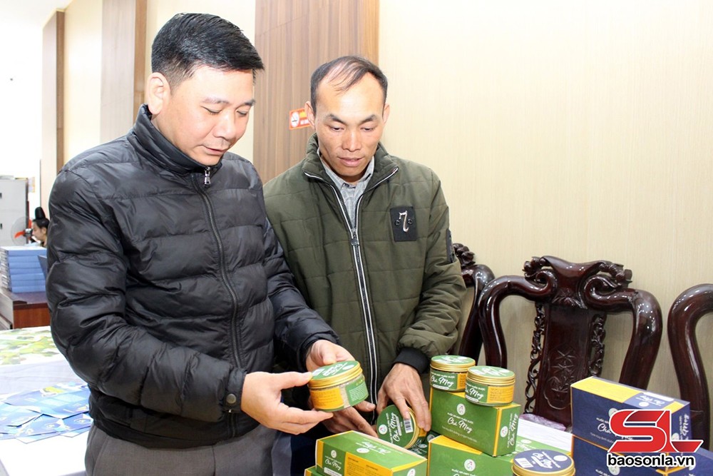 Thuận Châu, Sơn La khai thác lợi thế phát triển nông nghiệp bền vững - 4