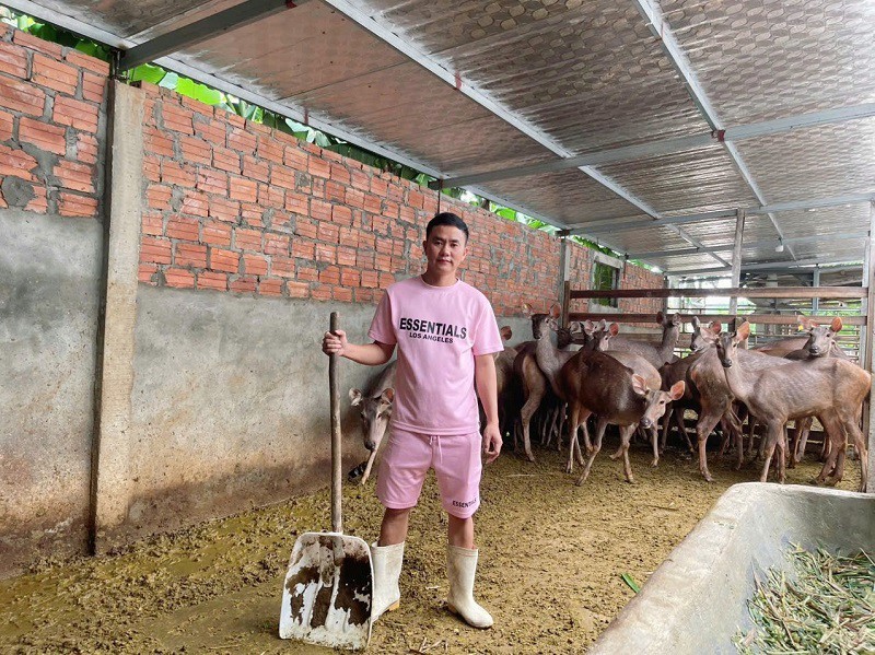 9x Nghệ An nghỉ việc về quê nuôi con hiền lành, thu nhập lên đến cả tỷ đồng/năm - 6
